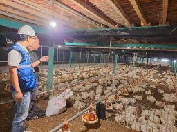 Tarif Listrik Tidak Naik, PLN Pastikan Pasokan Andal Dukung Pertumbuhan Ekonomi Nasional