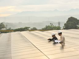 Waspada Penipuan! PLN Pastikan Rekrutmen Gratis dan Transparan