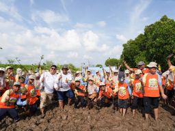 PLN Icon Plus Kenalkan Pelestarian Pesisir kepada Generasi Muda melalui Penanaman Mangrove