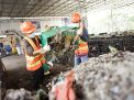 Lewat Co-Firing, 40 PLTU PLN Grup Mampu Turunkan Emisi Hingga 429 Ribu Ton CO2