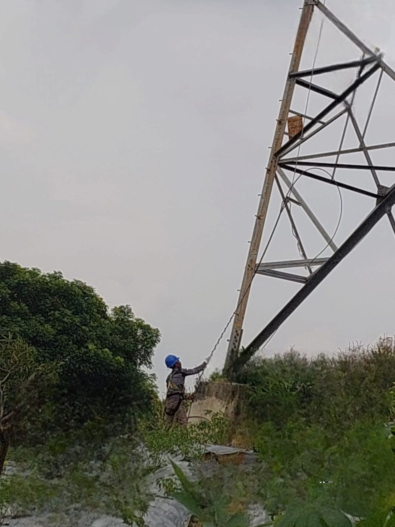Cegah Gangguan, PLN Icon Plus Lakukan Operasi Pembongkaran Kabel Optik Obsolete di Tower SUTT-SUTET