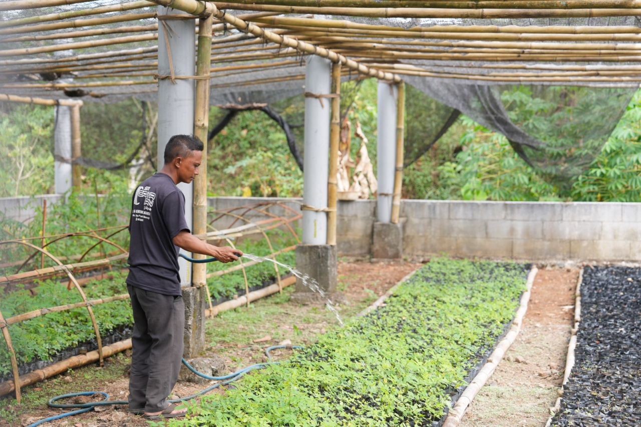 Besok! PLN Resmikan Pengembangan Ekosistem Biomassa di Tasikmalaya
