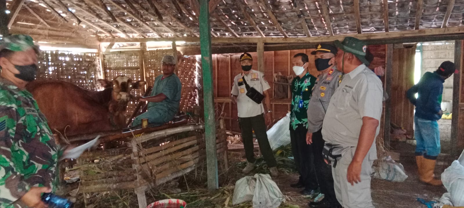 Cegah PMK, Ini yang Dilakukan Petugas Gabungan Polres Bojonegoro