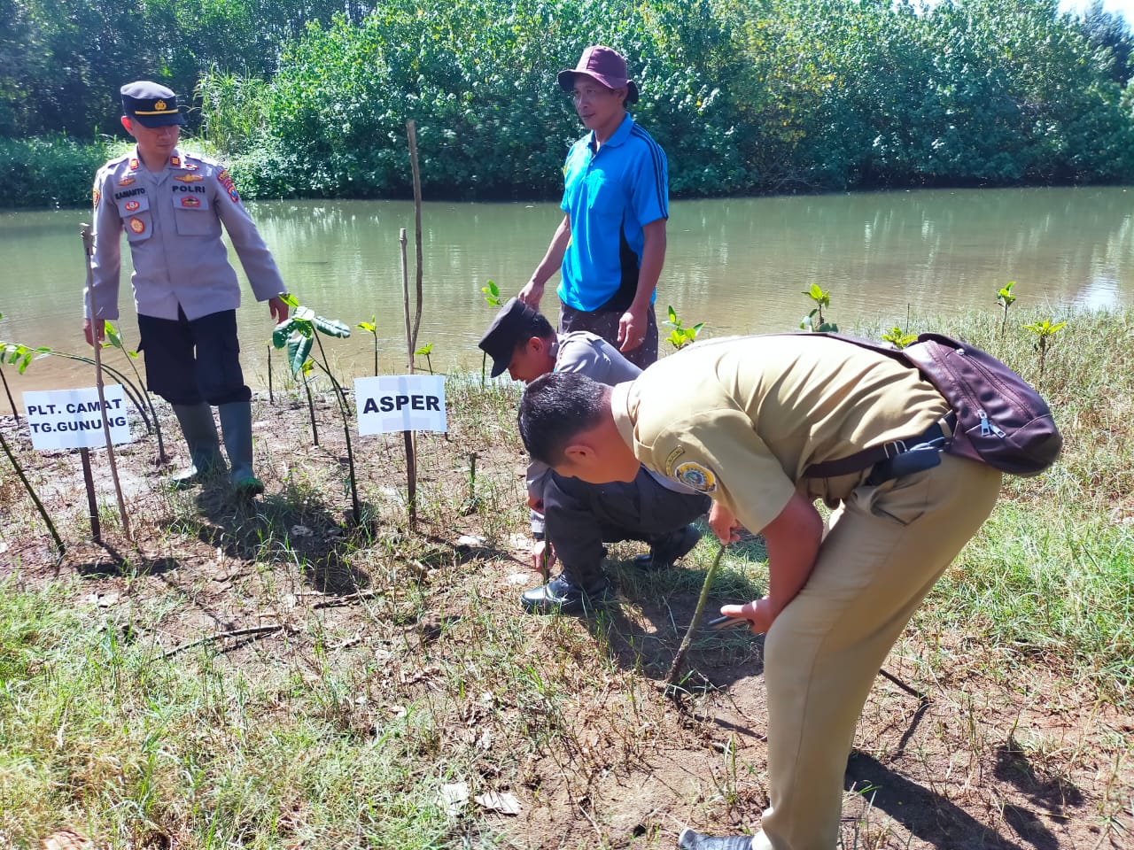 Melalui Penanaman Mangrove, Polres Tulungagung ikut Peringati Hari Mangrove Sedunia